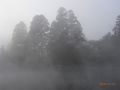 湯布院100％の光景、金鱗湖の朝霧